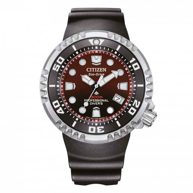 citizen promaster diver 300 bn1024-01z