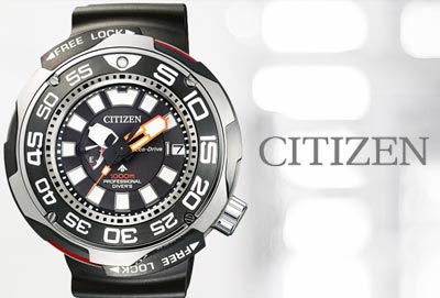 Citizen Promaster Professional Diver 1000m