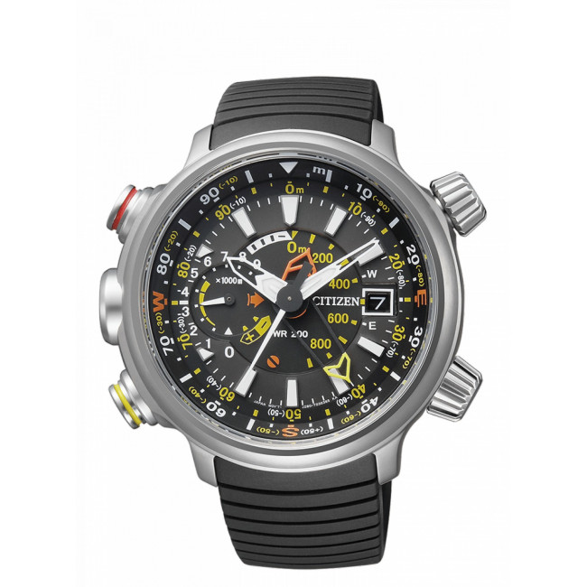 PROMASTER ALTICHRON